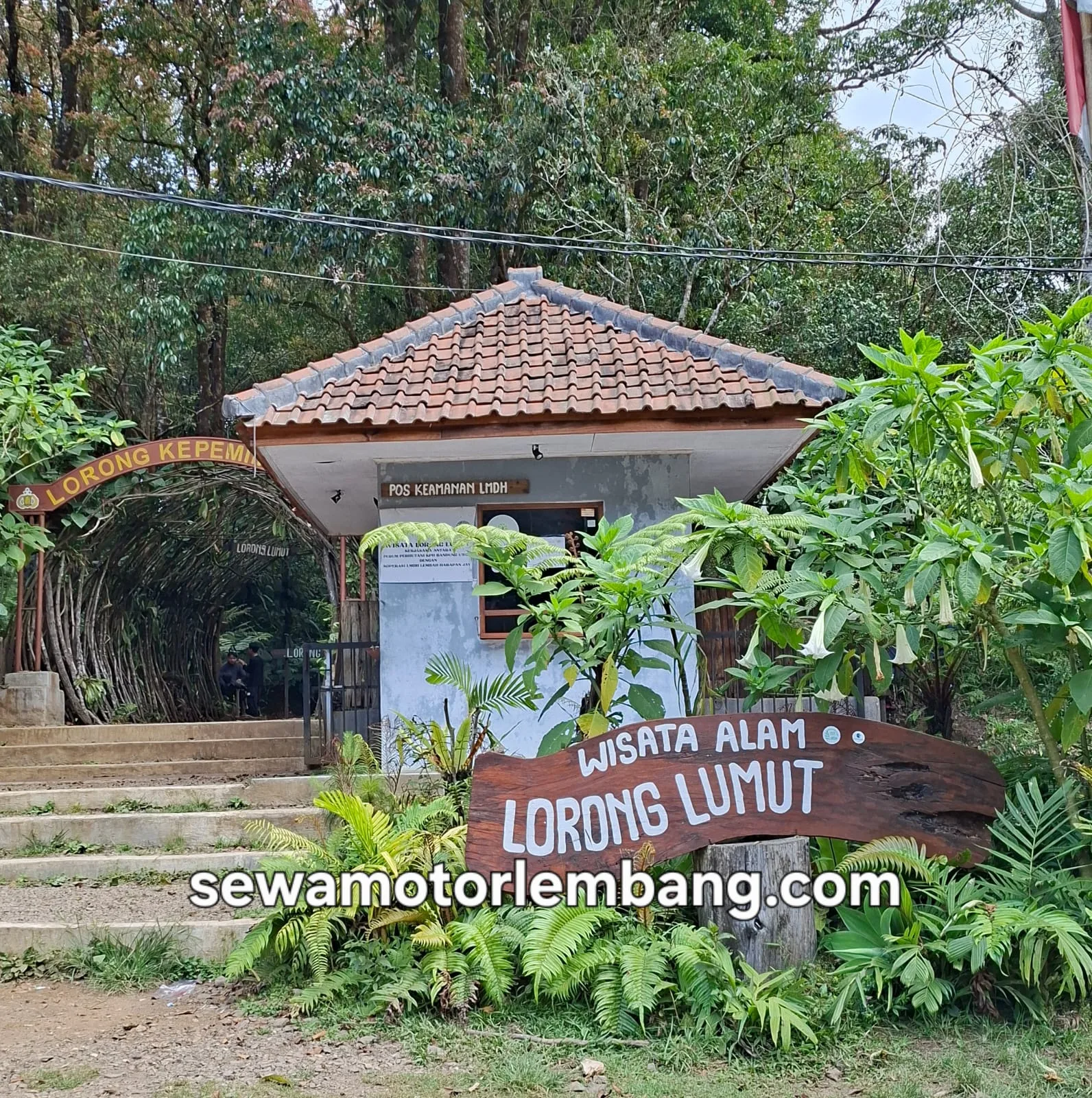 Lorong-Lumut-Lembang Lorong Lumut Lembang
