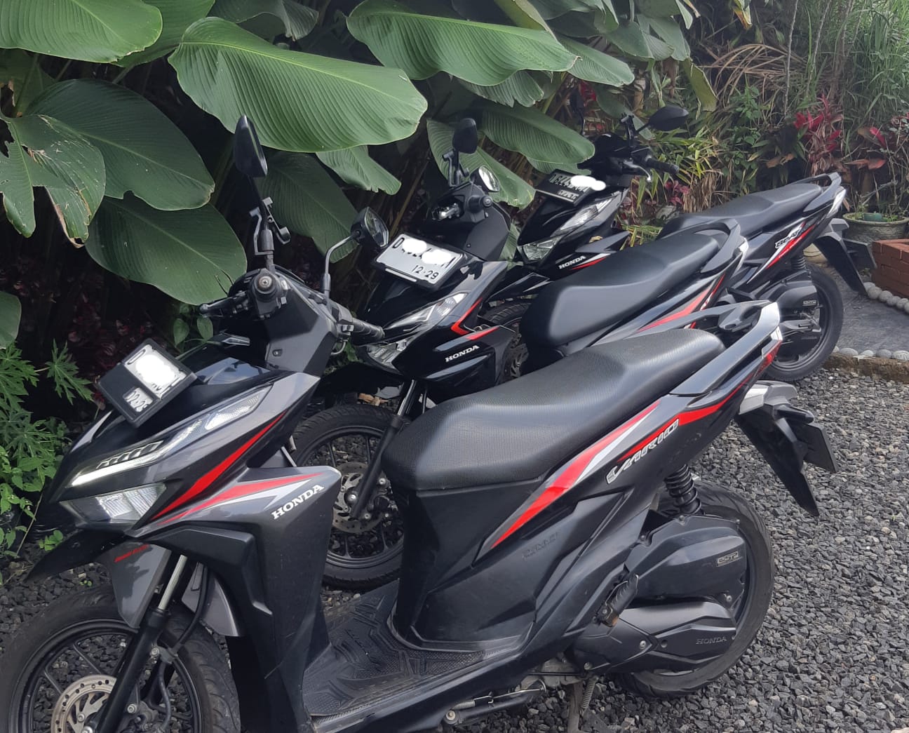Marifa Sewa Motor Lembang